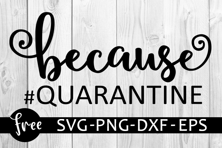 Download Because quarantine svg free, quarantined svg, quote svg, instant download, silhouette cameo ...