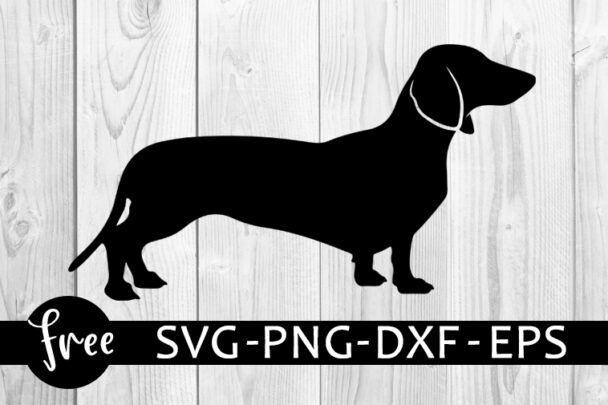 Dachshund svg free, pet dog svg, pets svg, instant download, silhouette ...