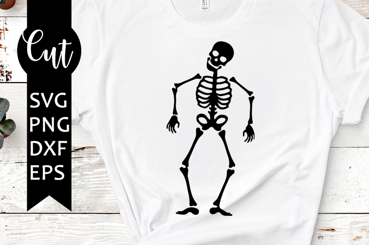 skeleton svg free